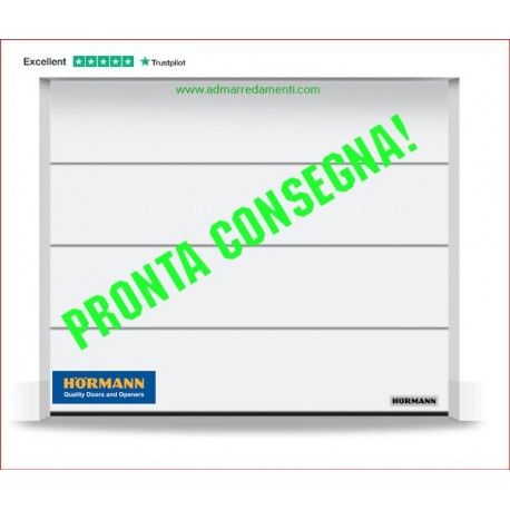 Portone PRONTA CONSEGNA L2750H2500 